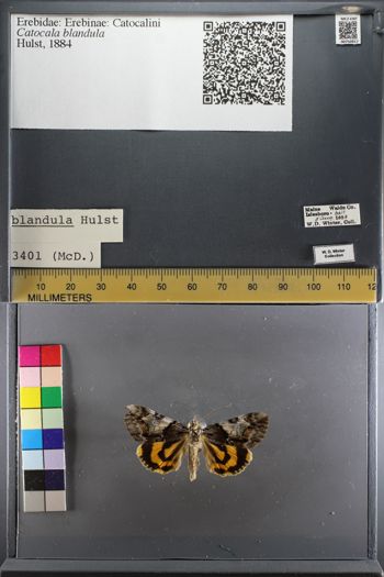 Media type: image;   Entomology 750917